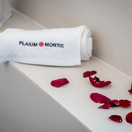 Plaium Montis