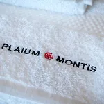 Plaium Montis 4*