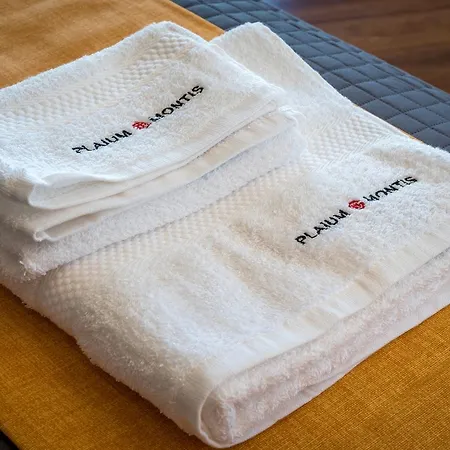 Bed & Breakfast Plaium Montis Salerno