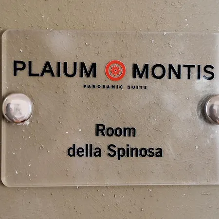 Bed & Breakfast Plaium Montis 3*