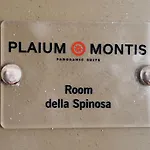 Alojamento de Acomodação e Pequeno-almoço Plaium Montis 4*