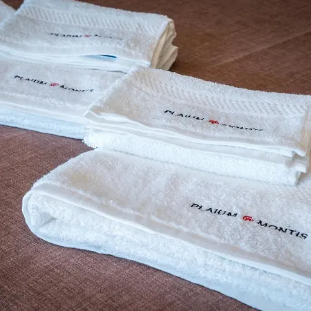 Plaium Montis Frühstückspension Salerno