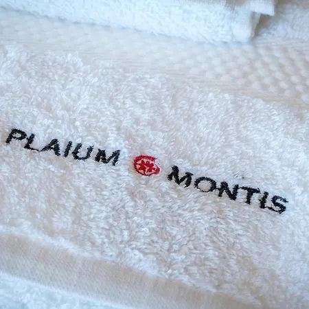 Plaium Montis 4*