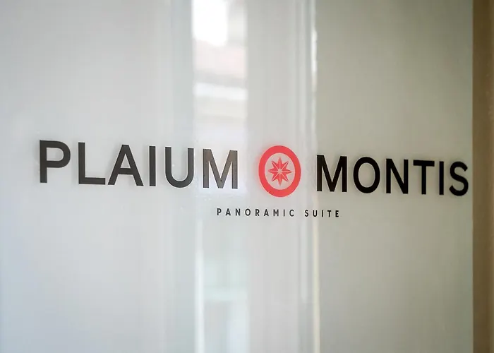 Plaium Montis 4*