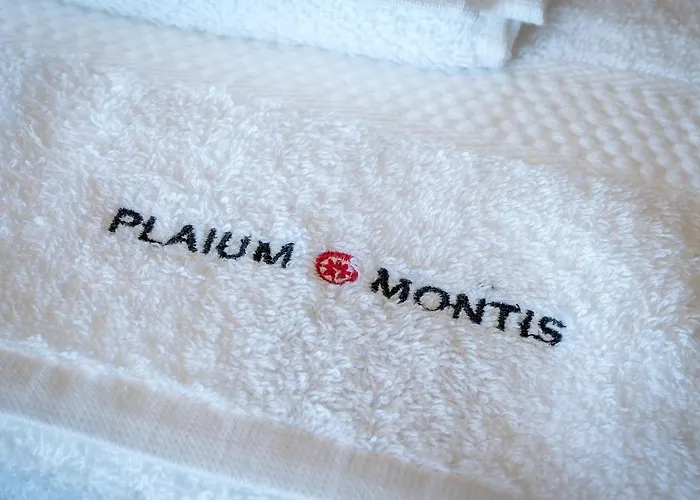 Plaium Montis 4*